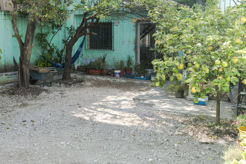 Jardín Urbano - Imágen de gelería